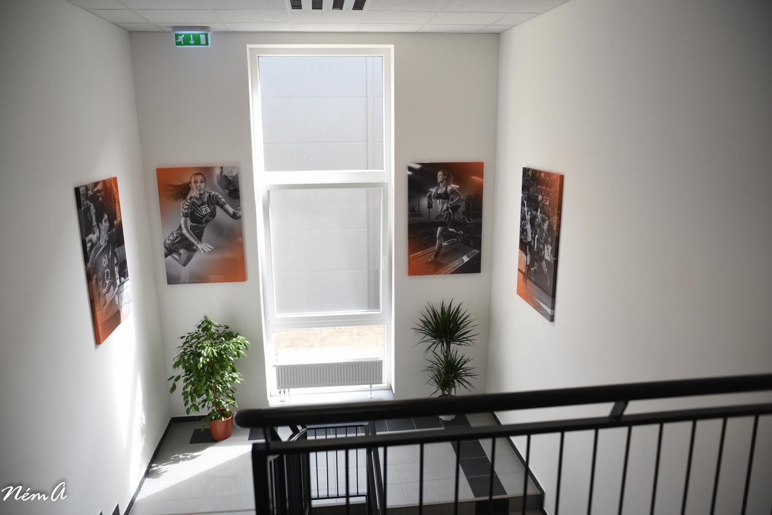 Skc Siofok Aparthotel Kültér fotó
